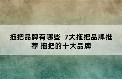 拖把品牌有哪些  7大拖把品牌推荐 拖把的十大品牌